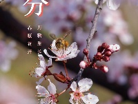 春分