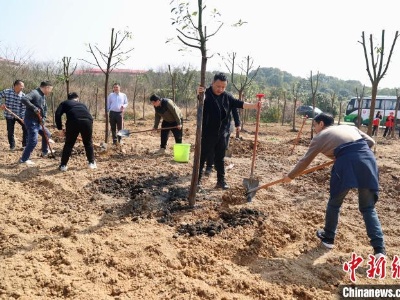 第46个植树节 “国际湿地城市”南昌掀起全民义务植树热潮-中新网