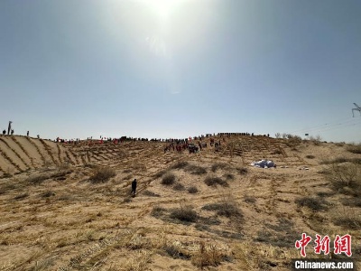 中国线上植树持续火热 西北沙区一周内迎千万余人“云种”-中新网