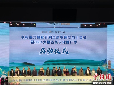 贵州毕节七星关：以太极古茶为“媒” 赋能乡村振兴-中新网