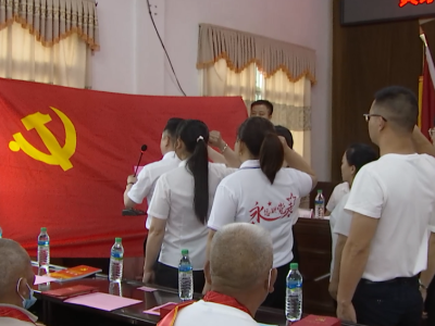 庆祝中国共产党成立100周年系列主题活动