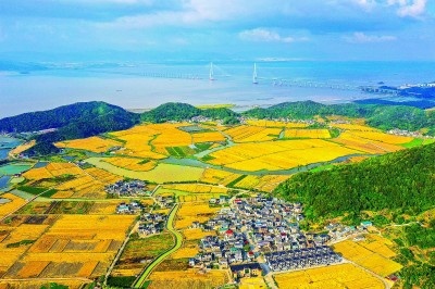 【大美中国】丰收正当时