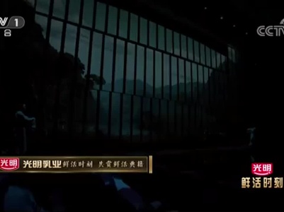 典籍里的中国：孔子详解《周易》