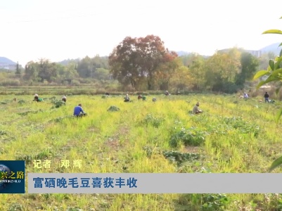 富硒晚毛豆喜获丰收