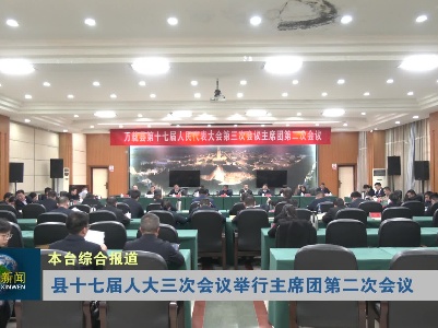 县十七届人大三次会议举行主席团第二次会议