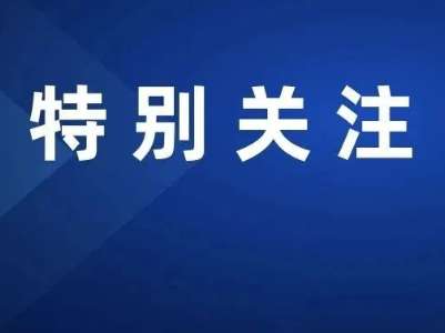 白良镇办好民生实事推动主题教育见行见效