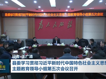 县委学习贯彻习近平新时代中国特色社会主义思想主题教育领导小组第五次会议召开