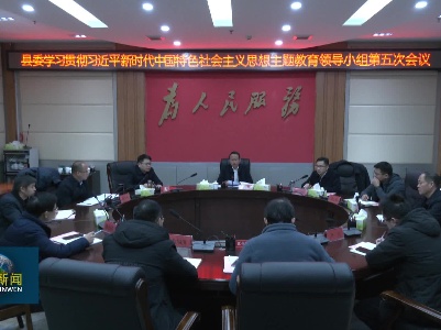 县委学习贯彻习近平新时代中国特色社会主义思想主题教育领导小组第五次会议召开