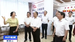 民建中央副主席陈文华来浔考察调研