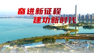 “红色蒲公英”星火成炬  传递社会新温度