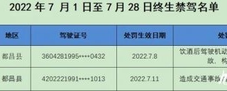 【8•3早安|九江】7月份九江这2人被终生禁驾！；昌九高铁，真的来了！；九江市中心城区“文明餐饮”专项整治第三轮联合督查结果揭晓