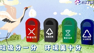 【全国文明城市创建连环画】九江创文 鄱湖候鸟来接力