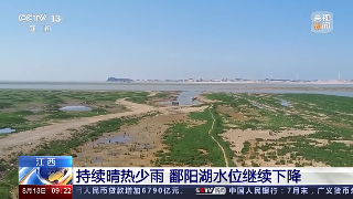 【央媒看九江】央视《新闻直播间》报道｜江西 持续晴热少雨 鄱阳湖水位继续下降