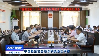 中国舞蹈协会领导到柴桑区考察 