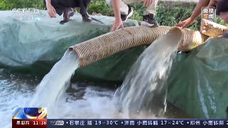 【央媒看九江】央视《新闻直播间》播发|江西德安 多地干旱 多措并举保障村民用水 