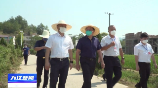 市领导到修水县督导抗旱工作