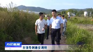 市领导到德安调研