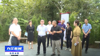 市领导到修水调研乡村振兴示范点建设工作