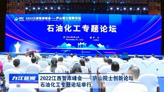 2022江西智库峰会——庐山院士创新论坛石油化工专题论坛举行