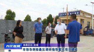 市领导到柴桑区调研指导重点项目建设