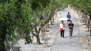 【9•21早安|九江】灰头麦鸡现身鄱阳湖都昌水域;九江甘棠公园即将迎来升级改造；