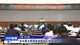全市重点领域安全防范工作会议召开，应炯出席并讲话
