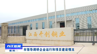 市领导调研企业运行和项目建设情况