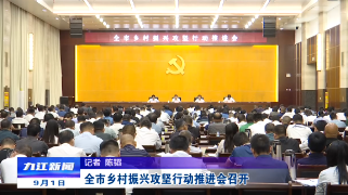 全市乡村振兴攻坚行动推进会召开 严盛平出席会议并讲话