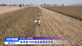 【10•28早安丨九江】九江这些路段将实施临时交通管制;彭泽县7000亩高粱喜迎丰收;