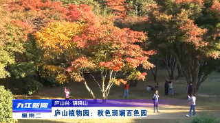【10•26早安丨九江】庐山植物园枫叶初红,适宜观赏;小厕所，大文明 ;