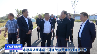 市领导调研市场主体监管改革和乡村旅游工作