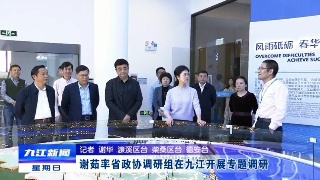 省政协副主席、省工商联主席谢茹率调研组来浔开展专题调研