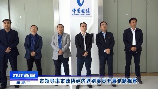 市领导率市政协经济界别委员开展专题视察