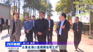 占勇在湖口县调研指导工作