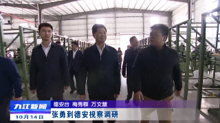 张勇到德安视察调研