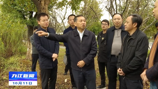 孙金淼到八里湖新区调研文明城市创建和安全生产等工作 