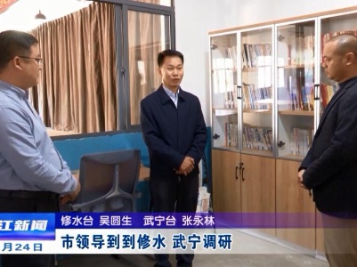 市领导到到修水、武宁调研