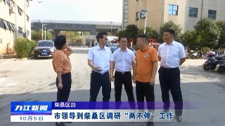 市领导到柴桑区调研“两不停”工作
