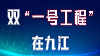 【双一号工程在九江】九江市优化营商环境综合服务平台正式上线运行