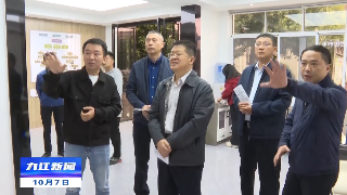 严盛平到濂溪区督导调研“两不停”、安全生产、社会治理等工作