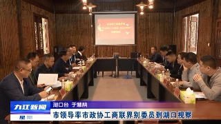 【全面深入学习贯彻党的二十大精神】市领导率市政协工商联界别委员到湖口视察