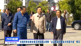民盟界别省政协委员到柴桑区视察“企业智能化建设与转型升级”情况