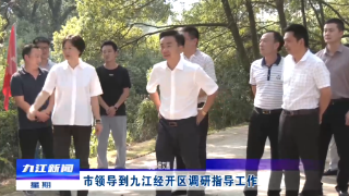 市领导到九江经开区调研指导工作