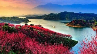 【10•21早安丨九江】九江站地下广场停车场恢复使用；九江新增80个社会保障卡服务网点；武宁成功入选国家级示范县创建名单