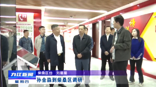 孙金淼到柴桑区调研指导文明创建和乡村振兴工作