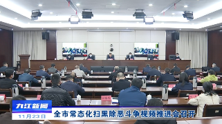 全市常态化扫黑除恶斗争视频推进会召开 严盛平出席并讲话