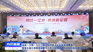 长江经济带城市文化和旅游推介会在浔举行，应炯出席