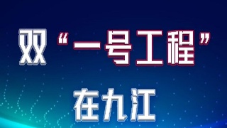 【双一号工程在九江】江西蓝星星火通过海关AEO高级认证