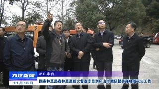 国家林草局森林草原防火督查专员到庐山市调研督导森林防灭火工作