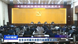 全市乡村振兴攻坚行动调度会召开 严盛平出席